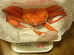 081122benigani.jpg