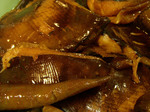 081124ei.jpg