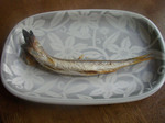 081124kamasubosi (1).jpg