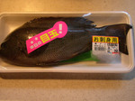 081203kuroya.jpg