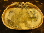 081220okimatsuba (8).jpg