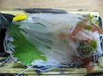 090129sirauo.jpg