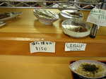 090130kaigan (8).jpg