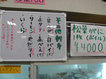 090131kaigan (4).jpg