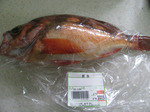 090223okimebaru.jpg