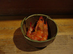 090315kabuto (1).jpg