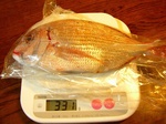 090322chiko.jpg