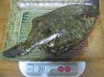 090323amatekarei.jpg