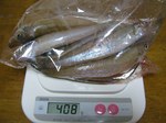 090323hongisu.jpg