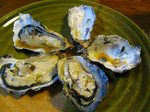090323magaki.jpg