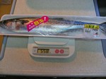 090414sawara.jpg