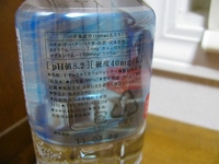 090601kanaginohana (1).jpg