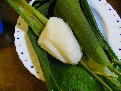 090604chimaki (2).jpg