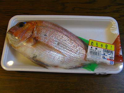 090622madai.jpg
