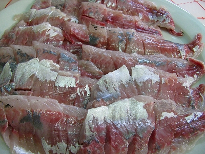 090704donchichi (1).jpg