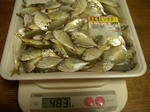 2008.10.31enoha1.jpg