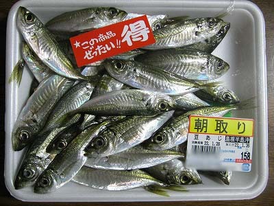 おいしいってなんだろね ぶろぐ 豆あじ 極小 で南蛮漬け