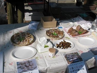 IMG_7753.jpg