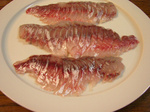 P7053390.jpg