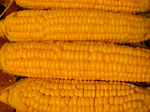P7293901.jpg