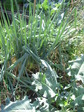 PA184936.JPG