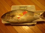 akahira081025.jpg