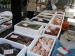 etomo080530 (1).jpg