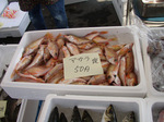 etomo080530 (10).jpg