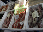 etomo080530 (9).jpg