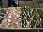 etomo (4).jpg