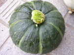 kabocha080728 (2).jpg