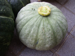 kabocha080728 (5).jpg