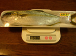 kohira081102.jpg