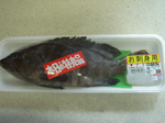 magana081018.jpg