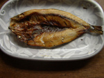 nishin081025 (1).jpg