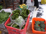 tatemati080217 (34).jpg